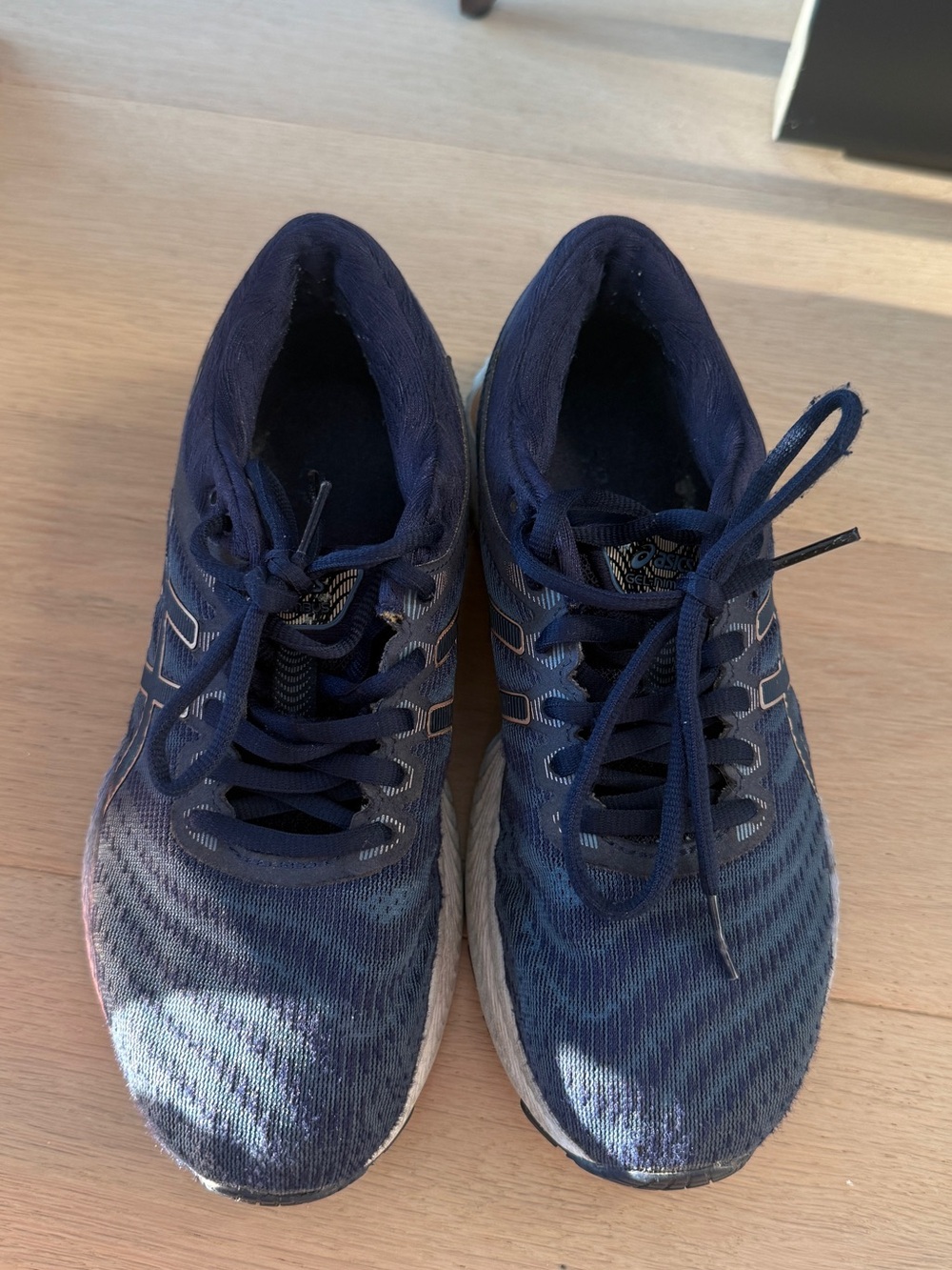 Asics Nimbus Gel 22 women running shoes